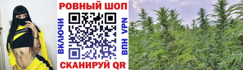 Все наркотики Лесозаводск ГАШ Амфетамин Псилоцибиновые грибы МАРИХУАНА Меф