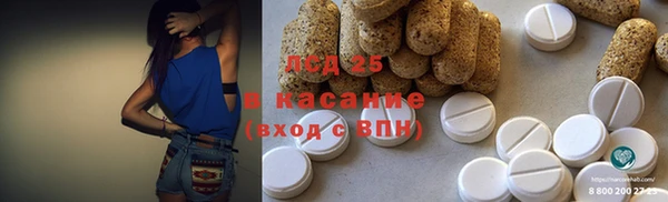 индика Баксан