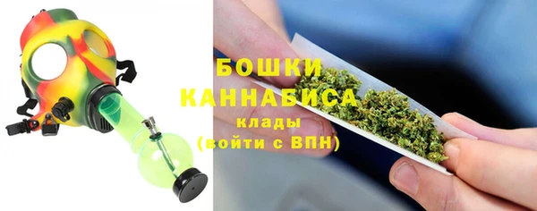 индика Баксан