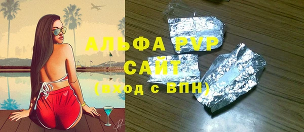 индика Баксан