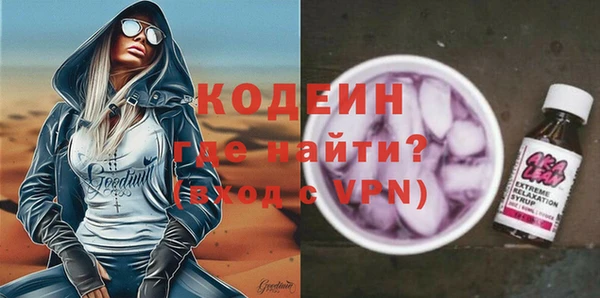 индика Баксан