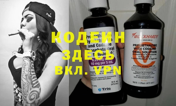 индика Баксан